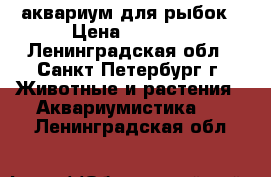 аквариум для рыбок › Цена ­ 2 300 - Ленинградская обл., Санкт-Петербург г. Животные и растения » Аквариумистика   . Ленинградская обл.